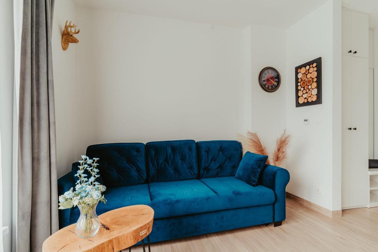 Jeleni Jar Apartamenty Душники-Здруй Экстерьер фото