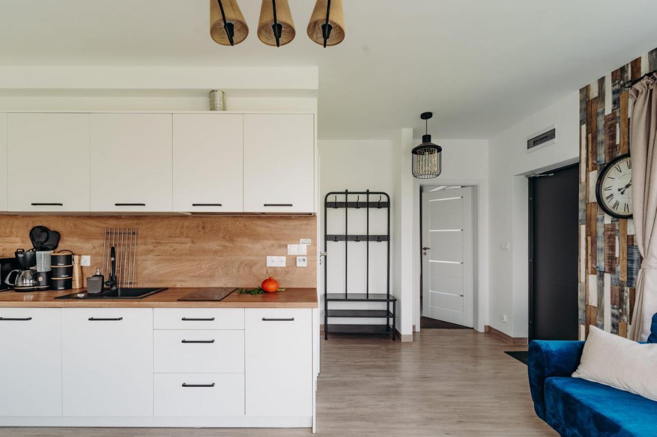 Jeleni Jar Apartamenty Душники-Здруй Экстерьер фото