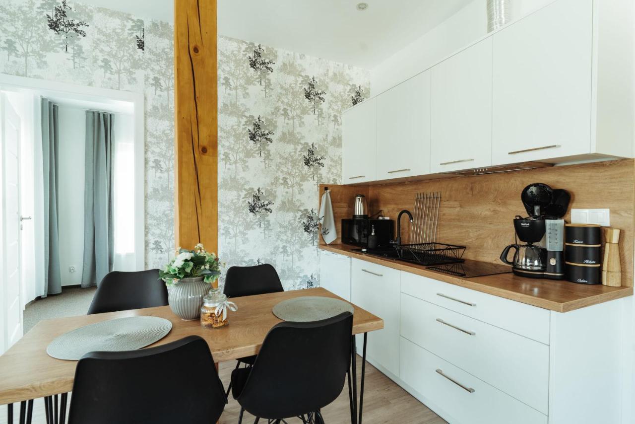 Jeleni Jar Apartamenty Душники-Здруй Экстерьер фото