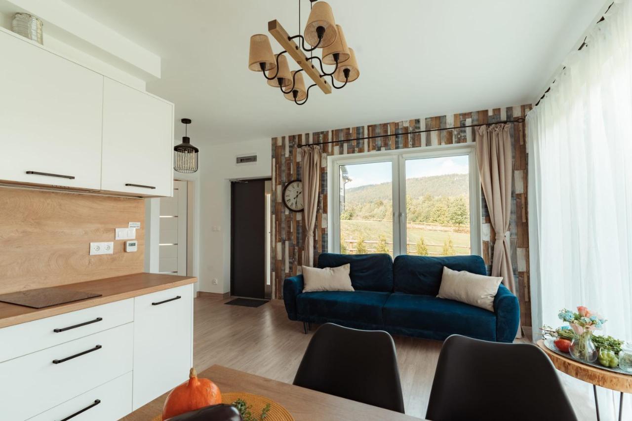 Jeleni Jar Apartamenty Душники-Здруй Экстерьер фото