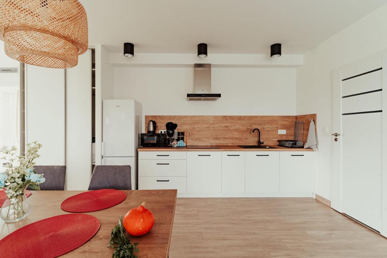 Jeleni Jar Apartamenty Душники-Здруй Экстерьер фото